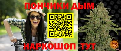 синтетический гашиш Сланцы