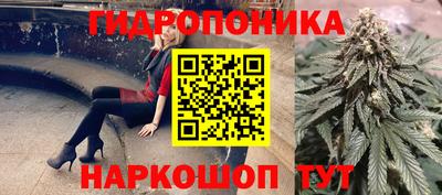 Альфа ПВП Славянск-на-Кубани