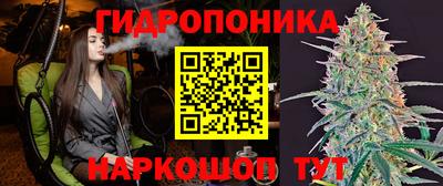 синтетический гашиш Сланцы