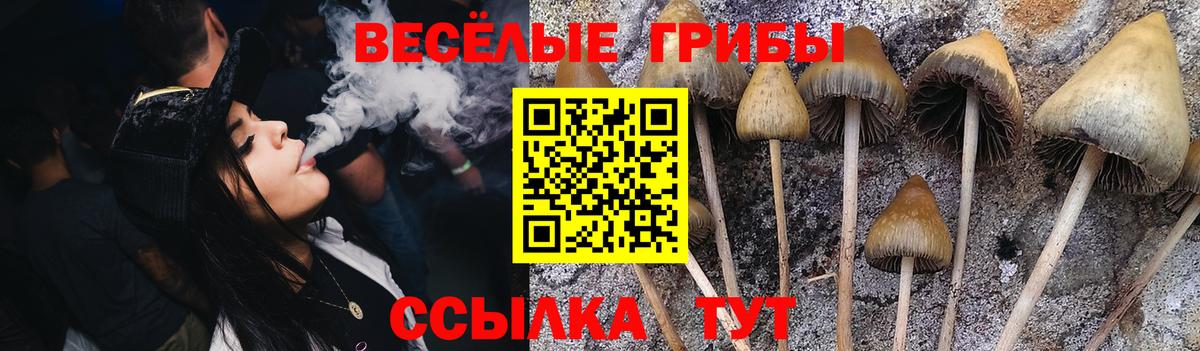 Наро-Фоминск  где найти   Галлюциногенные грибы GOLDEN TEACHER  Вход с VPN  Псилоцибиновые грибы Magic Shrooms 